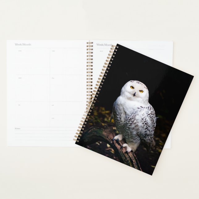 Majestic winter snowy owl planner (Display)