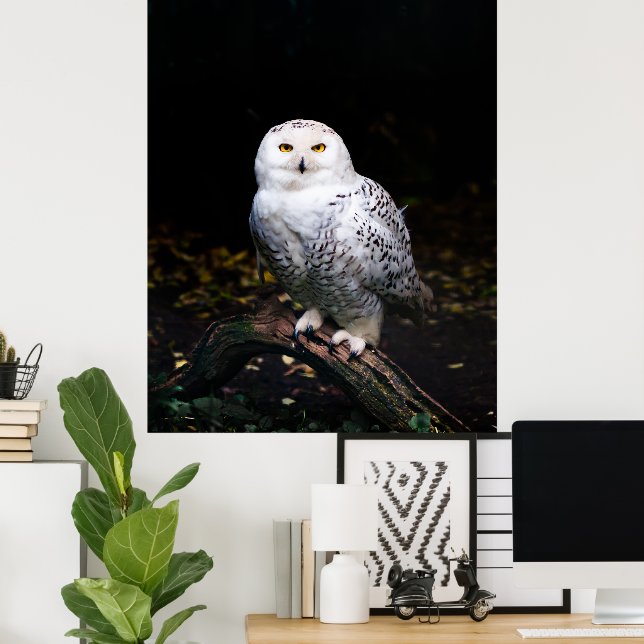 Majestic winter snowy owl poster (Home Office)