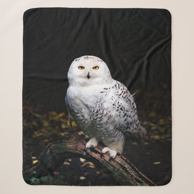 Majestic winter snowy owl sherpa blanket (Front)