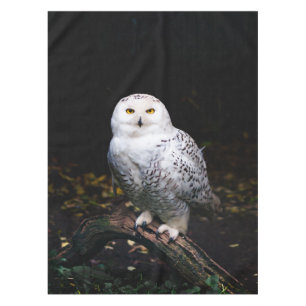 Majestic winter snowy owl tablecloth