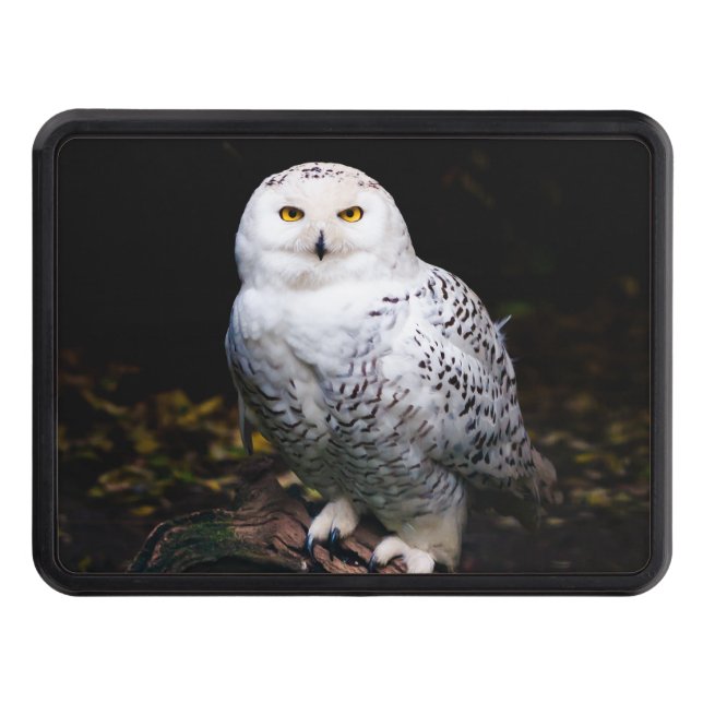 Majestic winter snowy owl trailer hitch cover (Front)