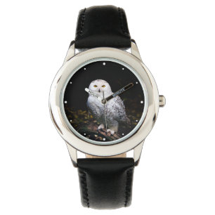 Majestic winter snowy owl watch