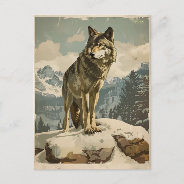 Majestic Wolf on Snowy Rock Postcard (Front)