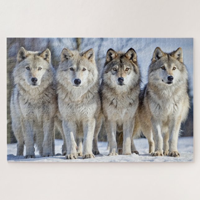 Majestic Wolves in Snowy Landscape, Wildlife Jigsaw Puzzle (Horizontal)
