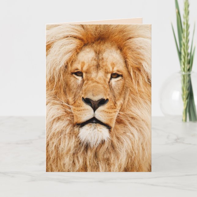 majestueuse carte de voeux de lion (Devant)