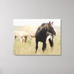 Majesty, Legend of Steens Canvas Print