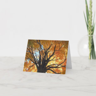 Majesty Note Card