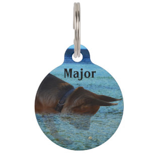 Major The German Shepherd, Pet Tag. Pet Tag