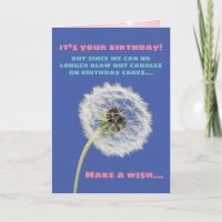 Make A Birthday Wish Dandelion And Have Cake Too
