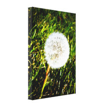 Make a Wish 02 Stretched Canvas Print