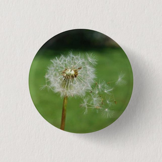 Make A Wish 1 Inch Round Button (Front)