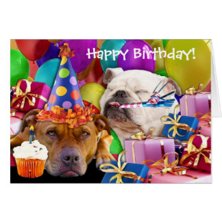 Happy Birthday Pitbull Cards, Photocards, Invitations &amp; More