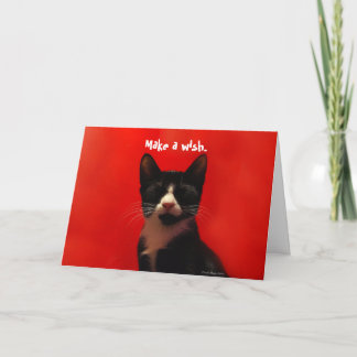 Make a Wish ^_^ Card