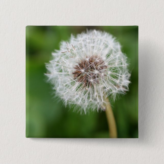 Make A Wish! Dandelion 2 Inch Square Button (Front)