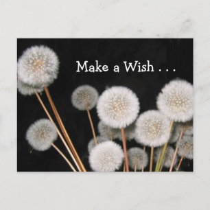 Make A Wish Postcard