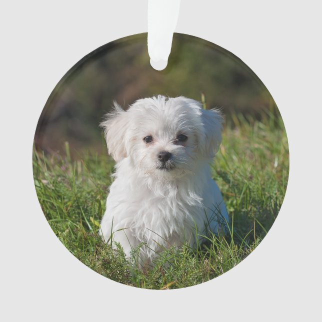 Make an Acrylic Christmas Ornament - Add Pic/Text (Front)