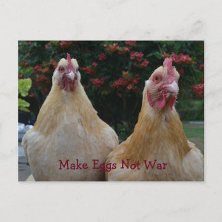 Make Eggs Not War... Buff Orpington Hens Postcard