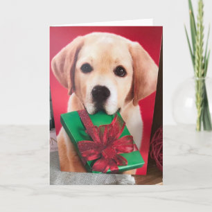 MAKE ME "HAPPY" AND SAY YOU'LL BE MY VALENTINE HOLIDAY CARD