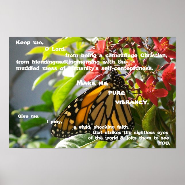 Make Me Pure Vibrancy Poster (Front)