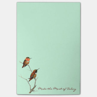 Make the Most of Today: Rufous Hummingbirds Art Post-it Notes