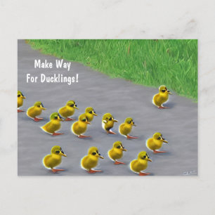 Make Way For Ducklings! Postcard