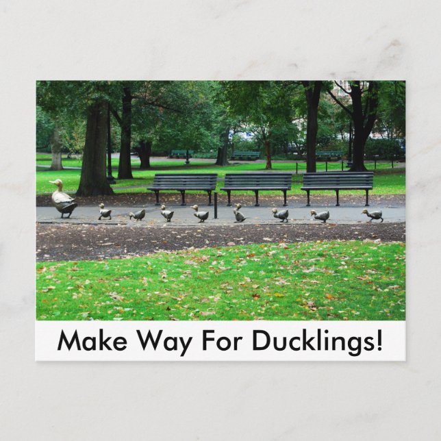 Make Way For Ducklings! Postcard (Front)