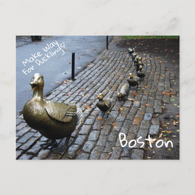 Make Way For The Ducklings Postcard (Front)