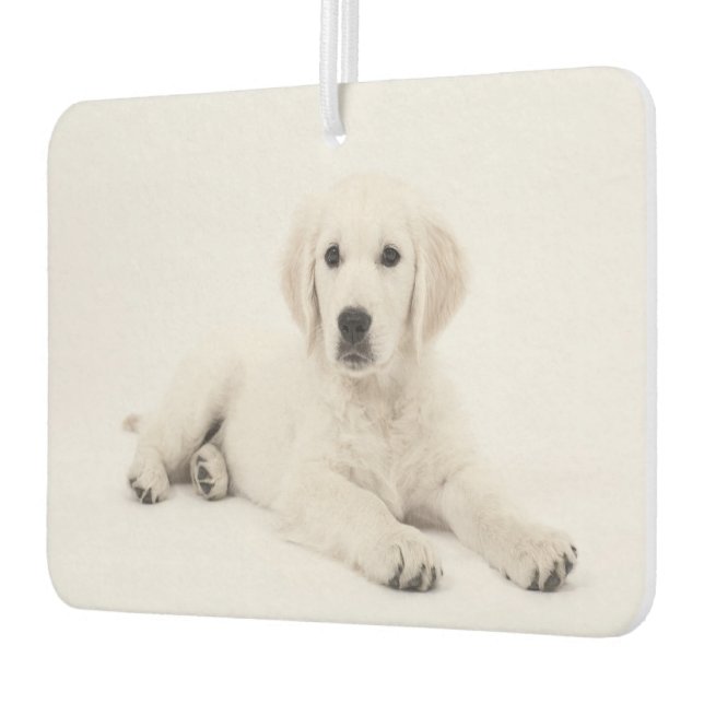 Make Your Own Both Sides Pet Photo Custom Unique Air Freshener (Left)