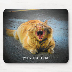Make Your Own Cat Meme Mouse Pad