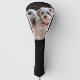 Make Your Own Custom Photo Family Pet Dog Animal   Golf Head Cover
