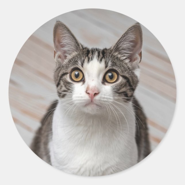 Make Your Own Custom Photo Pet Cat Dog Animal      Classic Round Sticker (Front)