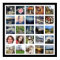 Make Your Own Instagram Photo Gallery Style