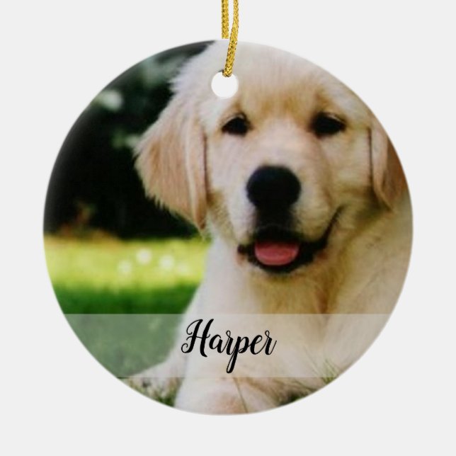 Make Your Own Pet Ornament (Front)