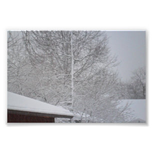 make your own photo prints