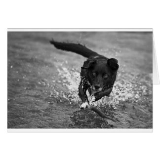 making a splash