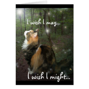 Making a Wish Fairy Cat