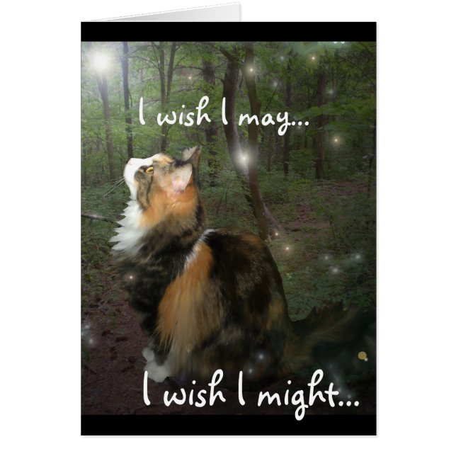 Making a Wish Fairy Cat (Front)