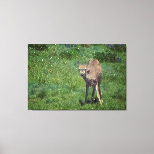 Making Face Canvas Print