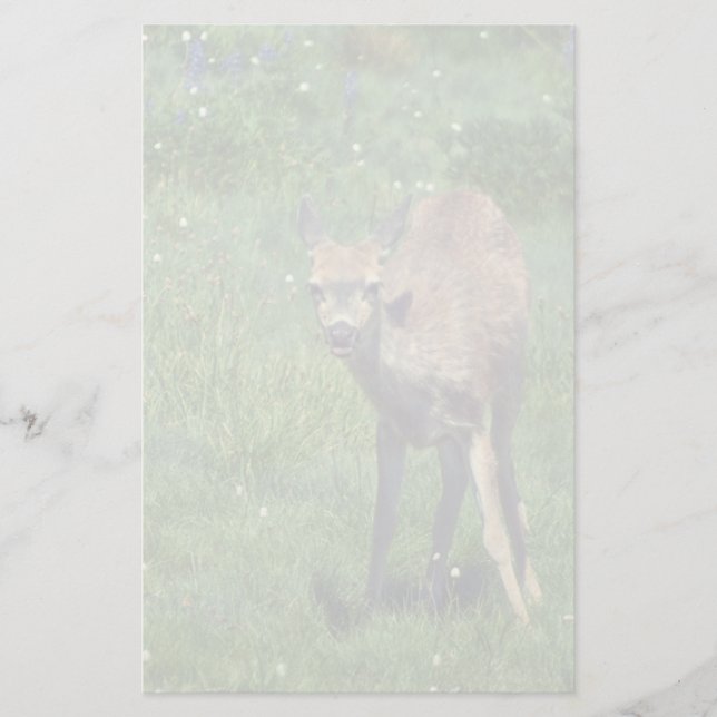 Making Face Stationery (Front)