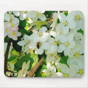 Making Honey Mouse Pad