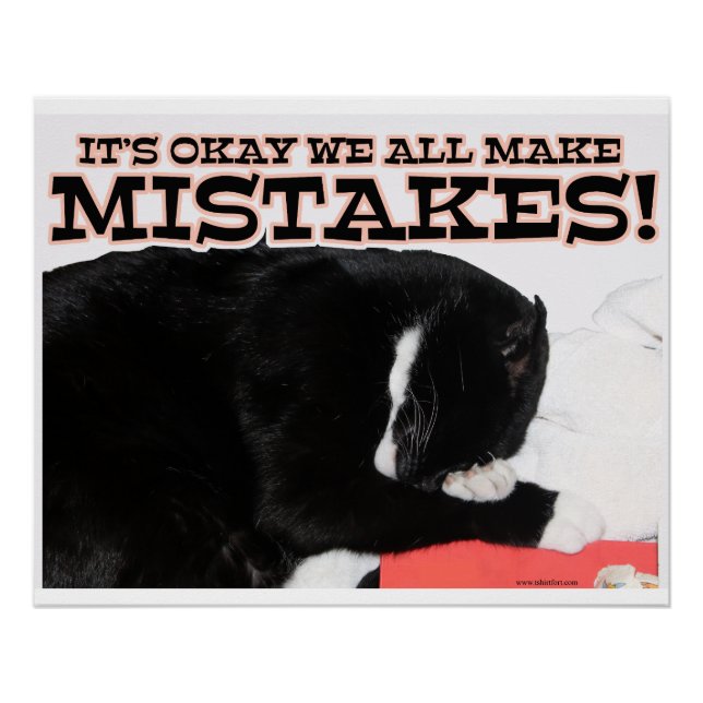 Making Mistakes is OK Motivational Cat Slogan Poster (Front)