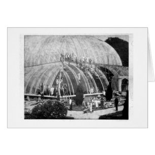Making repairs to the Great Conservatory at Chatsw