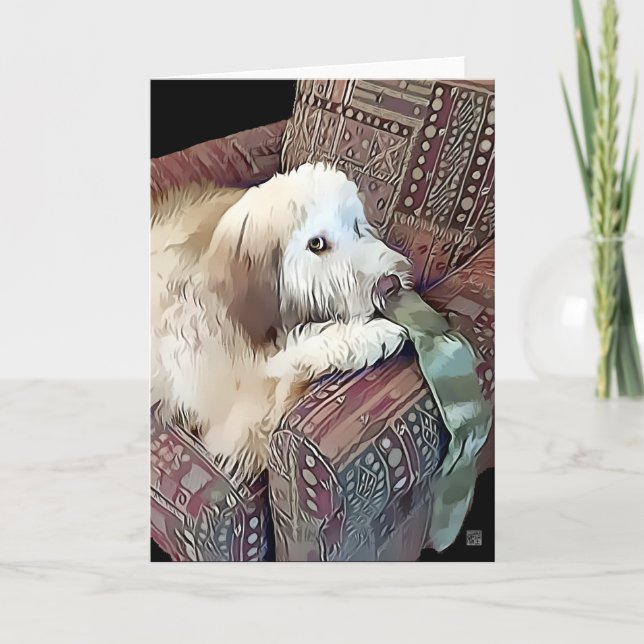 MALACHI heARTdog Whoodle Card (Front)