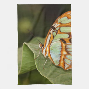 Malachite Butterfly Perched on a leaf Kitchen Towel