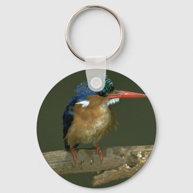 Malachite Kingfisher Keychain (Front)