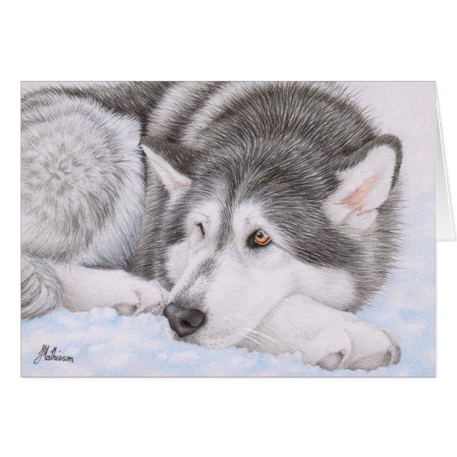 Malamute d'Alaska dans la neige (Devant horizontal)
