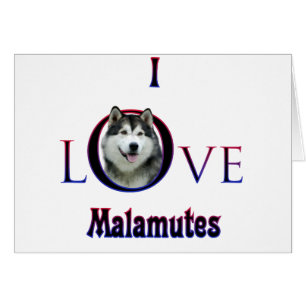 Malamute d'Alaska I Love
