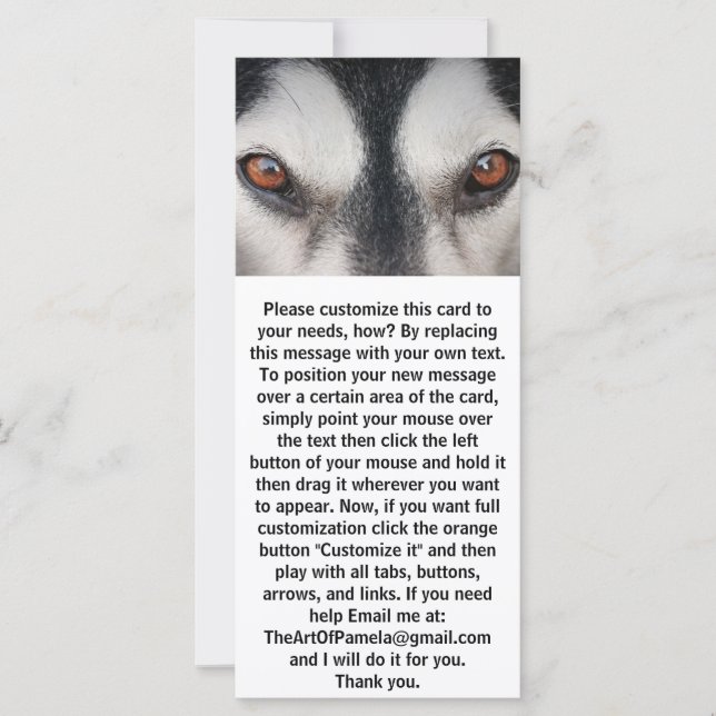 Malamute Dog Brown Eyes (Front)