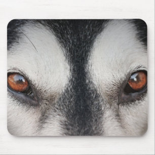 Malamute Dog Brown Eyes Mouse Pad