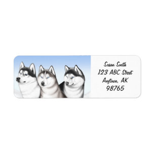 Malamute Husky Dogs Customizable